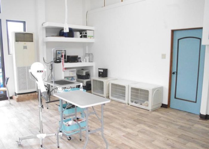 shop2